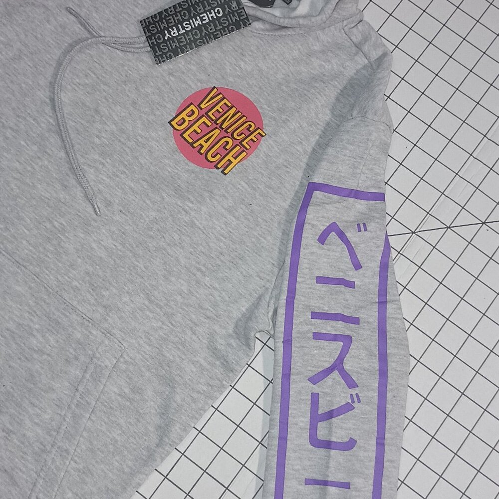 Grey Venice Skate Hoodie